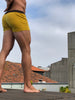 Dosco Jones Mustard Boxer Shorts